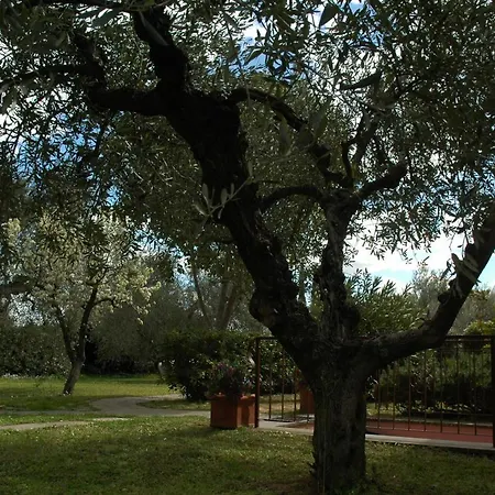 아파트호텔 Casa Maremma