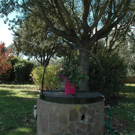 Casa Maremma 아파트호텔 카스틸리오네 델라 페스카이아