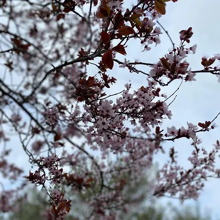 Casa Maremma Castiglione della Pescaia